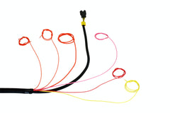 AEM 30-3813 Infinity Ford Coyote