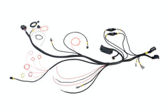 AEM 30-3813 Infinity Ford Coyote