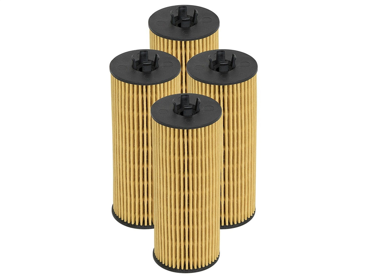 AFE 44-LF026-MB Pro GUARD D2 Oil Filter (4 Pack)