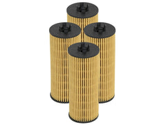 AFE 44-LF026-MB Pro GUARD D2 Oil Filter (4 Pack)