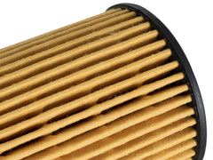 AFE 44-LF026-MB Pro GUARD D2 Oil Filter (4 Pack)