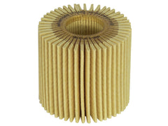 AFE 44-LF036-MB Pro GUARD D2 Oil Filter (4 Pack)