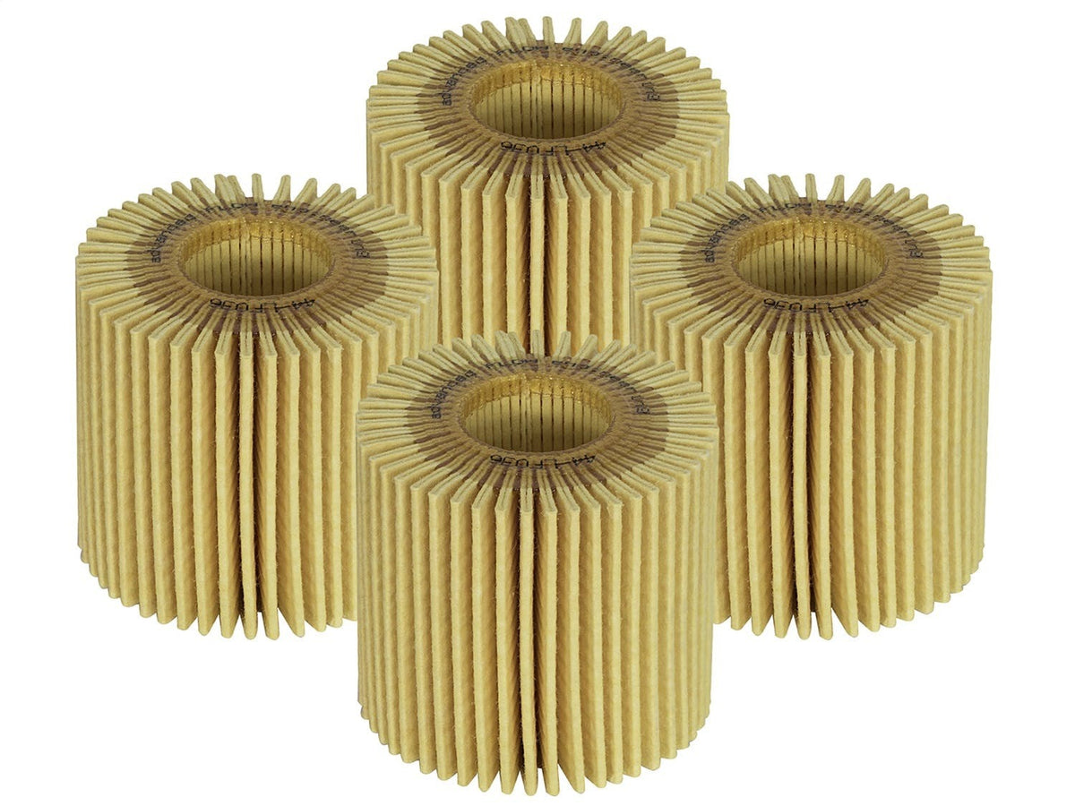 AFE 44-LF036-MB Pro GUARD D2 Oil Filter (4 Pack)