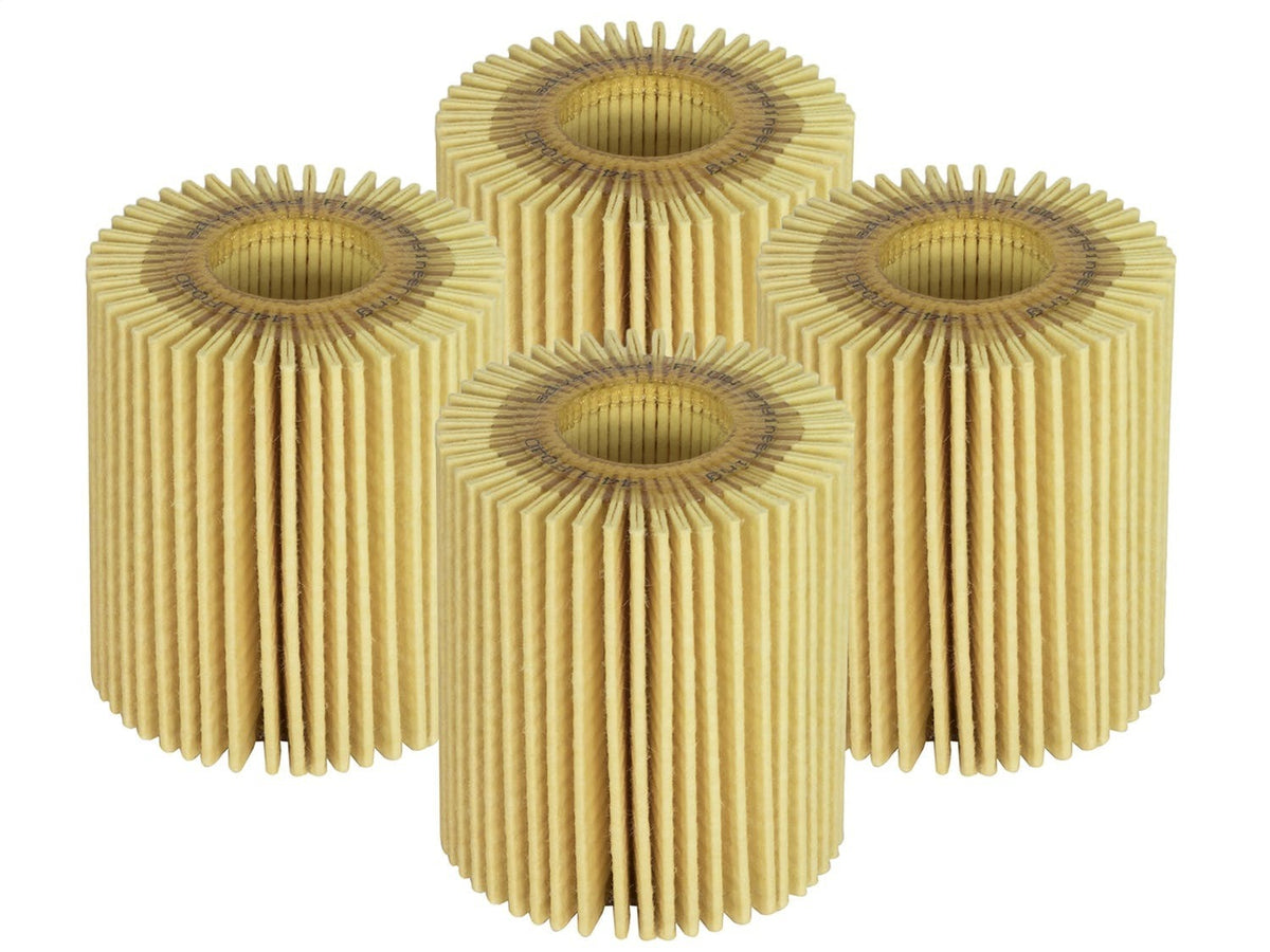 AFE 44-LF040-MB Pro GUARD D2 Oil Filter (4 Pack)