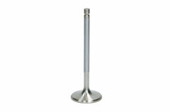 AIR FLOW RESEARCH SBC 1.600 Exhaust Valve Discontinued 3/21 7056