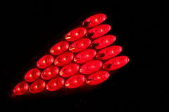 AnzoUSA 321099 LED Taillights Black