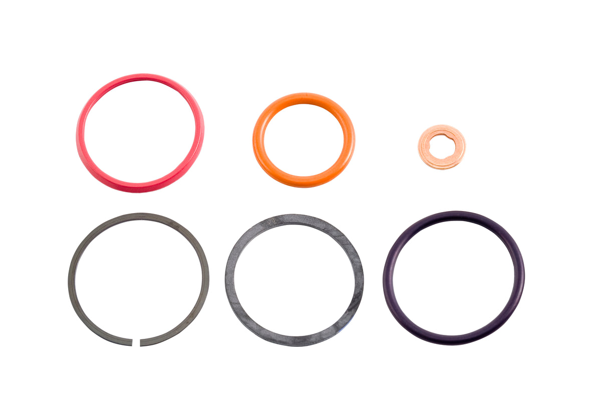 Alliant Power Injector Seal Kit, HEUI AP0001