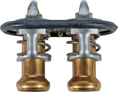 Alliant Power Dual Thermostat Assembly, Ford 6.7L & 5.2L AP63540