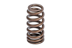 APR Audi, Bentley, Lamborghini, Porsche... Engine Valve Spring Kit PN. MS100258