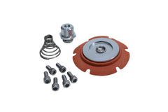 Aeromotive Fuel System 13022 Repair Kit