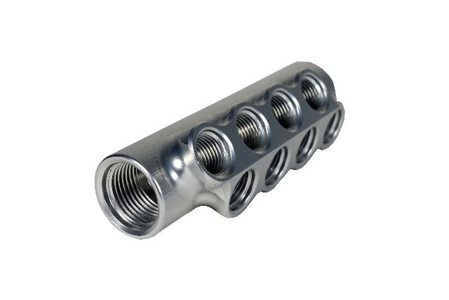 Aeromotive Fuel System 14602 Fuel Distribution Log (10-Ports) (2) -10 AN, (8) -6 AN