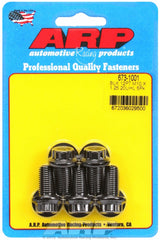 ARP 673-1001 M10 x 1.25 x 20 12pt black oxide bolts