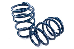 Dinan Coil Spring Set D100-0935
