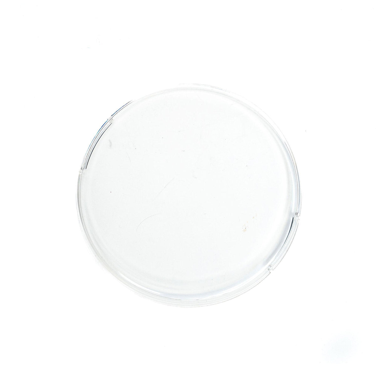 Baja Designs Squadron-R 2.0 Single Rock Guard, Clear 66-8019
