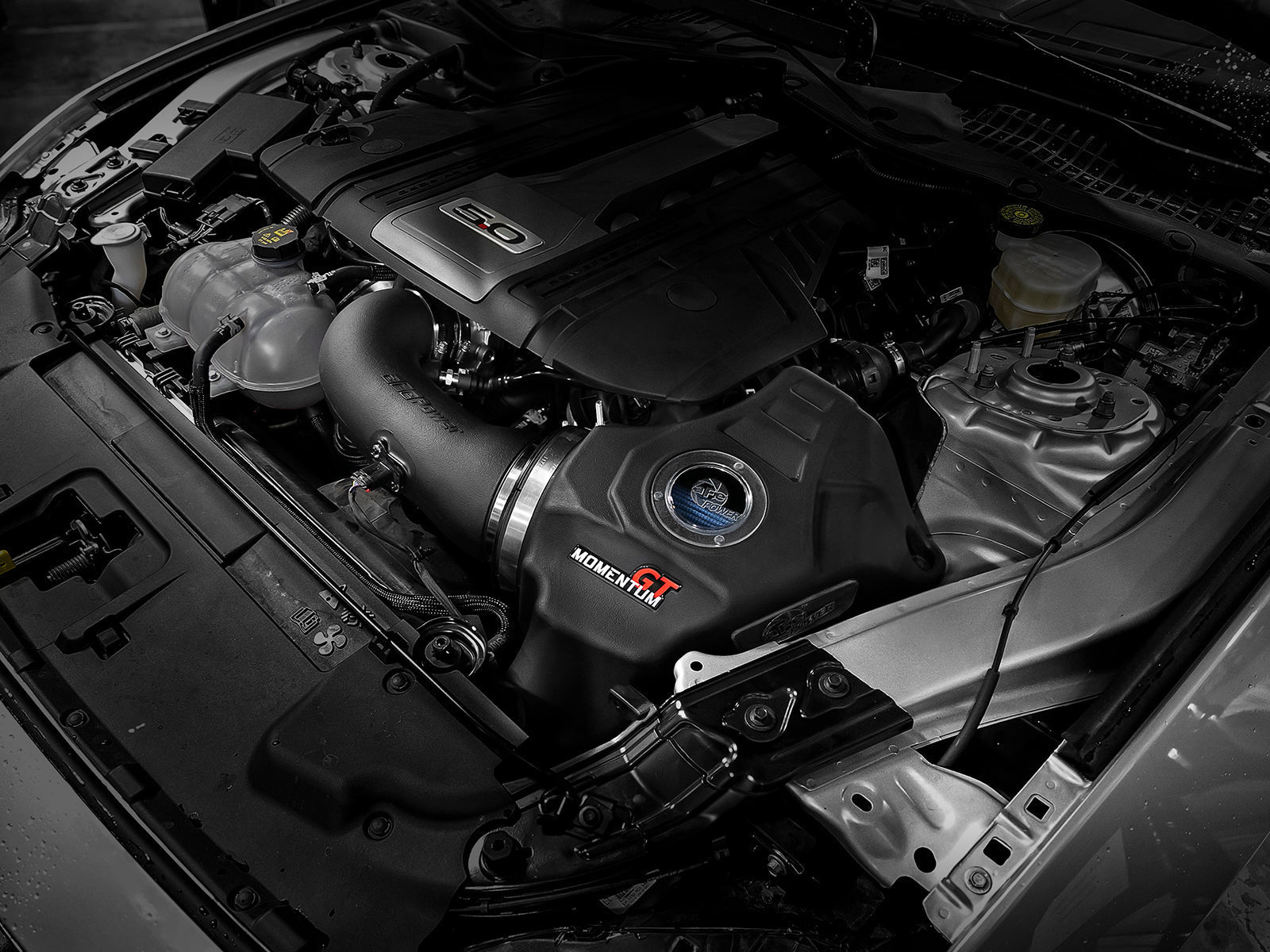 aFe Power 18-23 Ford Mustang GT (5.0) Engine Cold Air Intake 50-70033R