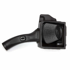 Banks Power 41882-D Ram-Air Intake Syst; Dry Filter-2011-14 Ford F-150; 6.2L