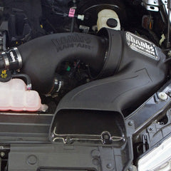 Banks Power 41884-D Ram-Air Intake System; Dry Filter-2015-16 Ford F-150; 2.7/3.5L EcoBoost