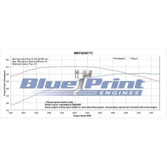 BluePrint Engines 383 ci Small Block GM style Marine Engine - Long Block MBP3830CT