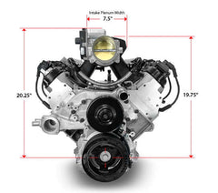 BluePrint Engines 376 ci GM LS Compatible Pro Series Base Dressed Engine with EFI PSLS37651CTF