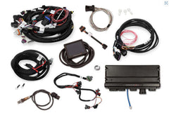 BluePrint Engines 376 ci GM LS Compatible Pro Series Base Dressed Engine with EFI PSLS37681CTF
