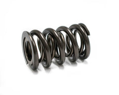 Brian Tooley Racing BTR-1225 BTR VALVE SPRING SET