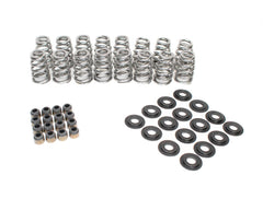 Brian Tooley Racing BTR-SK018 BTR .625 LIFT VALVE SPRING KIT