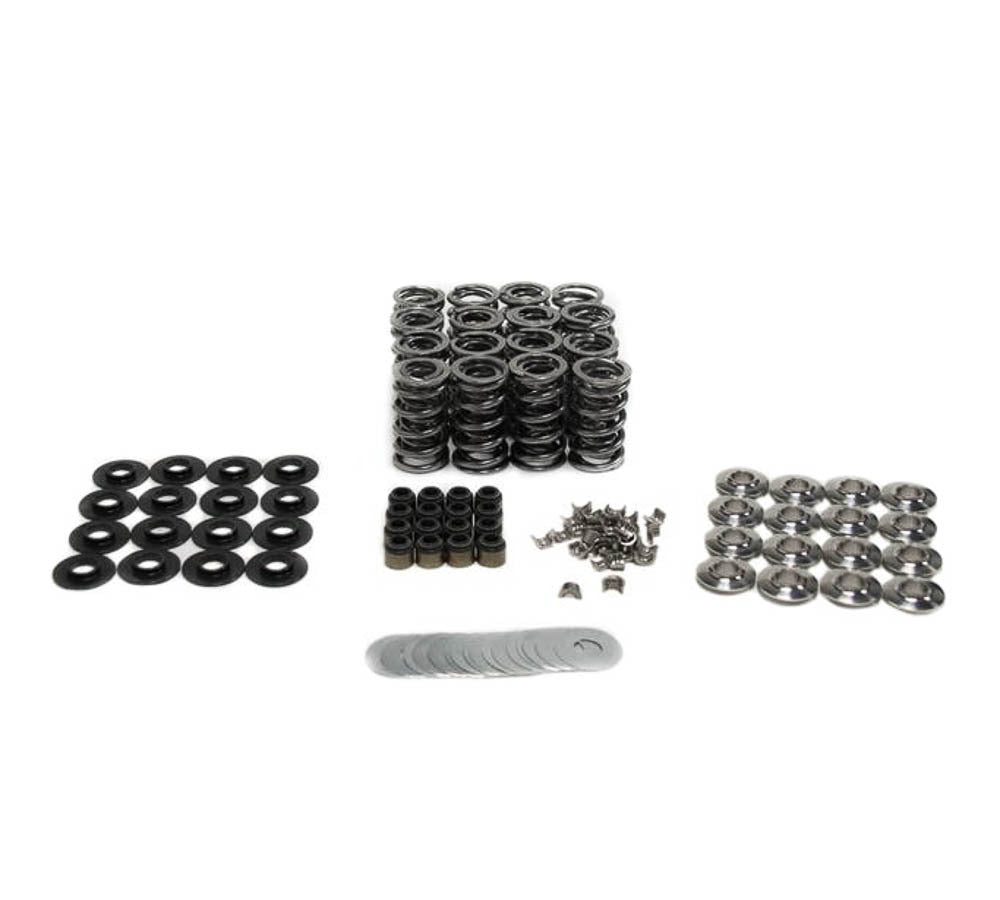 Brian Tooley Racing BTR-SK018 BTR .625 LIFT VALVE SPRING KIT