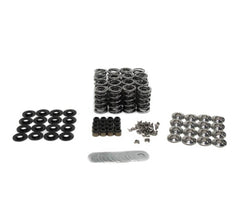 Brian Tooley Racing BTR-SK018 BTR .625 LIFT VALVE SPRING KIT
