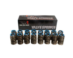 Brian Tooley Racing BTR91120-16 BTR GEN V BEEHIVE SPRING SET .550 LIFT