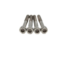 Brian Tooley Racing BTRDBWTBB-4 BTR THROTTLE BODY BOLT SET - DBW - BTRDBWTBB-4