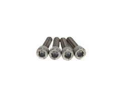 Brian Tooley Racing BTRTBB-4 BTR THROTTLE BODY BOLT SET - DBC - BTRTBB-4
