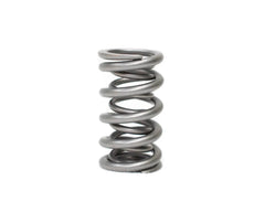 Brian Tooley Racing BTRXP1237-1 BTR SPRING KIT