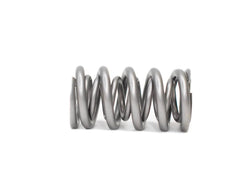 Brian Tooley Racing BTRXP1237-1 BTR SPRING KIT