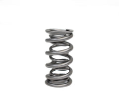 Brian Tooley Racing BTRXP1238-1 BTR SPRING KIT