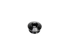 Brian Tooley Racing ORB-PGA-012 BTR 12AN PORT PLUG ALLEN HEAD