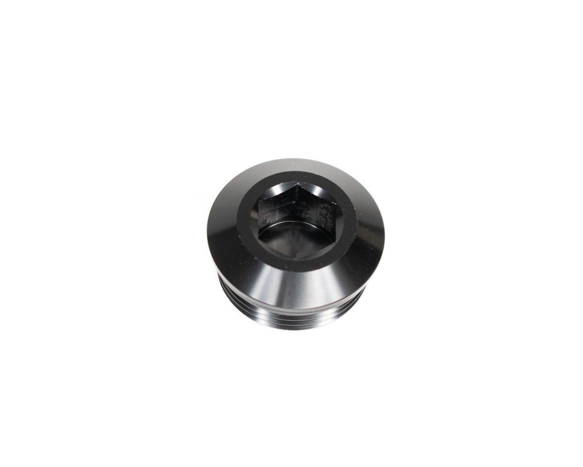 Brian Tooley Racing ORB-PGA-016 BTR 16AN PORT PLUG ALLEN HEAD