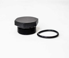 Brian Tooley Racing ORB-PGW-016 BTR 16AN PORT PLUG HEX HEAD