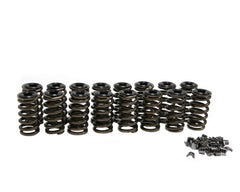 Brian Tooley Racing SK005S BTR FORD 2V MODULAR SPRING KIT