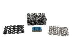 Brian Tooley Racing SK010 BTR PLATINUM DODGE VIPER DUAL SPRING KIT