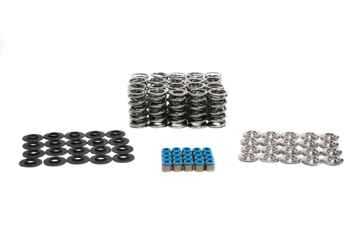 Brian Tooley Racing SK011 BTR PLATINUM DODGE VIPER DUAL SPRING KIT