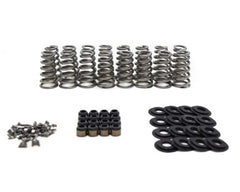 Brian Tooley Racing SK014 BTR LT4 CONICAL SPRING KIT