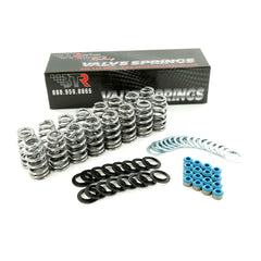 Brian Tooley Racing SK024 BTR 6.4 HEMI VALVE SPRING KIT