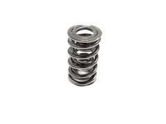 Brian Tooley Racing SP001-1 BTR PLATINUM DUAL SPRING
