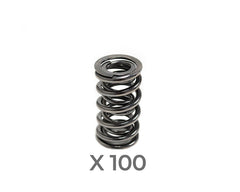 Brian Tooley Racing SP001-100 BTR PLATINUM DUAL VALVE SPRINGS