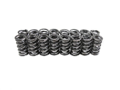 Brian Tooley Racing SP001-16 BTR PLATINUM DUAL VALVE SPRING SET