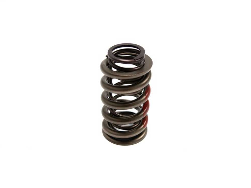 Brian Tooley Racing SP002-1 BTR MAX PRESSURE DUAL SPRING