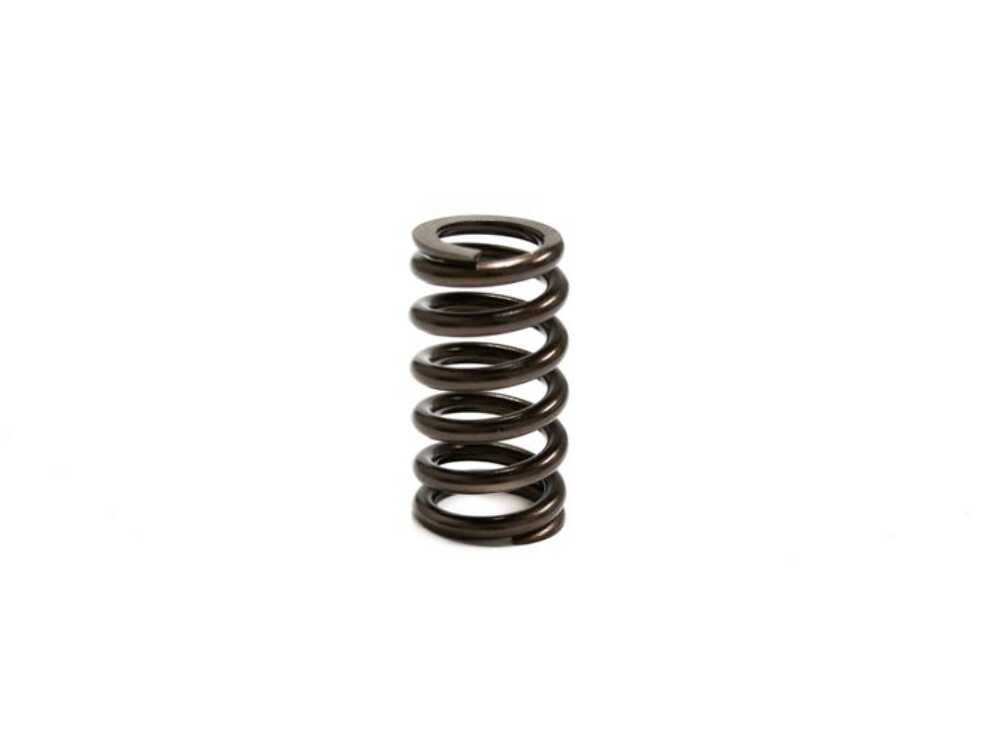 Brian Tooley Racing SP005-1 BTR FORD 2V MODULAR SPRING