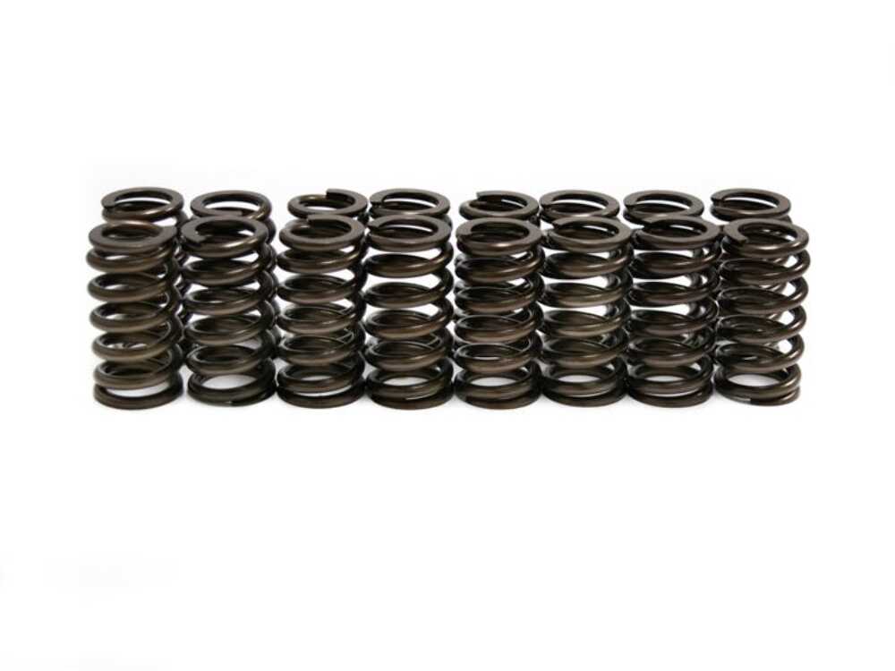 Brian Tooley Racing SP005-16 BTR FORD 2V MODULAR SPRING SET