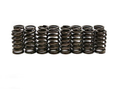 Brian Tooley Racing SP005-16 BTR FORD 2V MODULAR SPRING SET