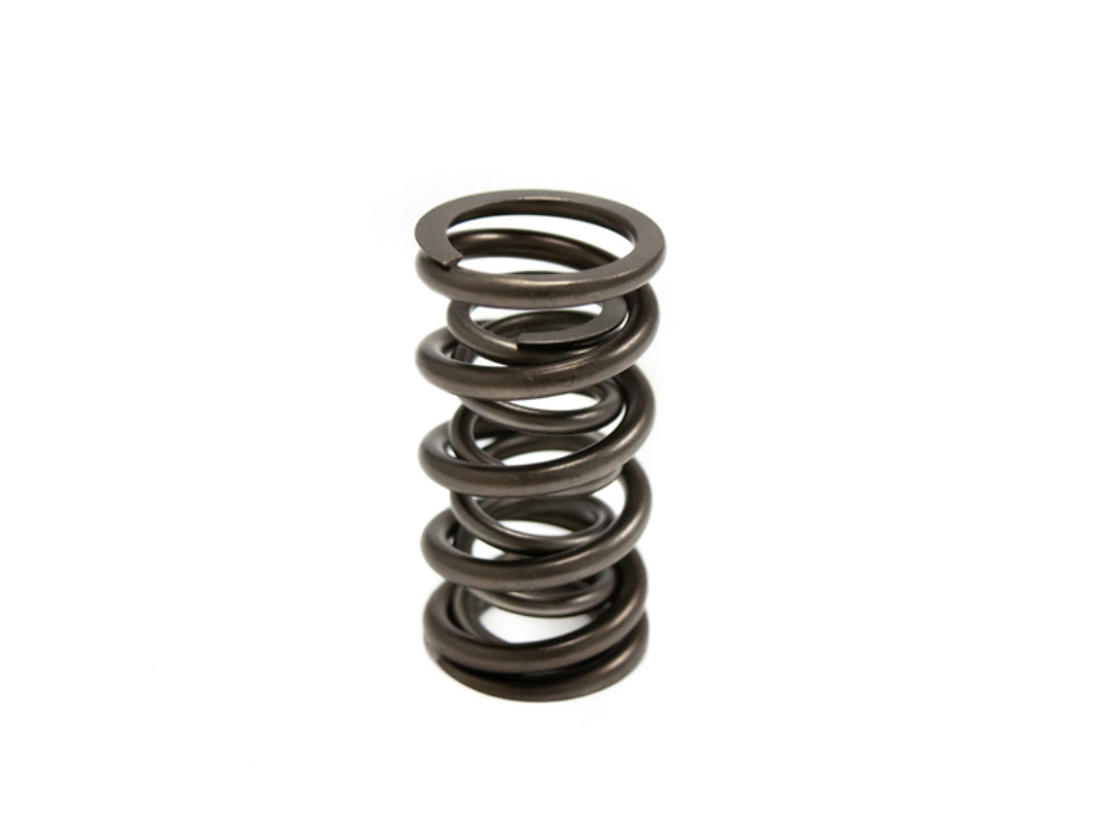 Brian Tooley Racing SP010-1 BTR DUAL SPRING